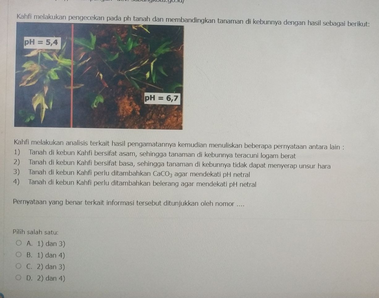 Kahfi melakukan pengecekan pada ph tanah dan membandingkan tanaman di kebunnya dengan hasil sebagai berikut:
Kahfi melakukan analisis terkait hasil pengamatannya kemudian menuliskan beberapa pernyataan antara lain :
1) Tanah di kebun Kahfi bersifat asam, sehingga tanaman di kebunnya teracuni logam berat
2) Tanah di kebun Kahfi bersifat basa, sehingga tanaman di kebunnya tidak dapat menyerap unsur hara
3) Tanah di kebun Kahfi perlu ditambahkan CaCO_3 agar mendekati pH netral
4) Tanah di kebun Kahfi perlu ditambahkan belerang agar mendekati pH netral
Pernyataan yang benar terkait informasi tersebut ditunjukkan oleh nomor ....
Pilih salah satu:
A. 1) dan 3)
B. 1) dan 4)
C. 2) dan 3)
D. 2) dan 4)