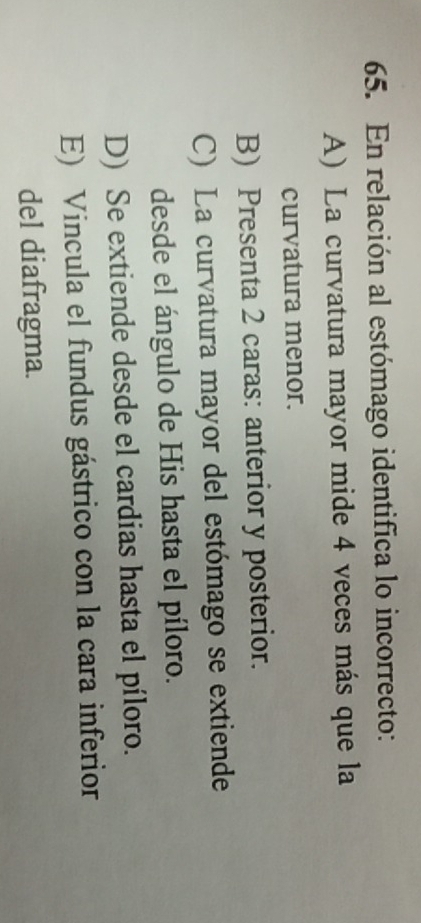 En relación al estómago identifica lo incorrecto:
A) La curvatura mayor mide 4 veces más que la
curvatura menor.
B) Presenta 2 caras: anterior y posterior.
C) La curvatura mayor del estómago se extiende
desde el ángulo de His hasta el píloro.
D) Se extiende desde el cardias hasta el píloro.
E) Vincula el fundus gástrico con la cara inferior
del diafragma.