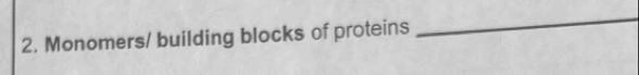 Monomers/ building blocks of proteins 
_