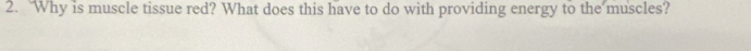“Why is muscle tissue red? What does this have to do with providing energy to the muscles?