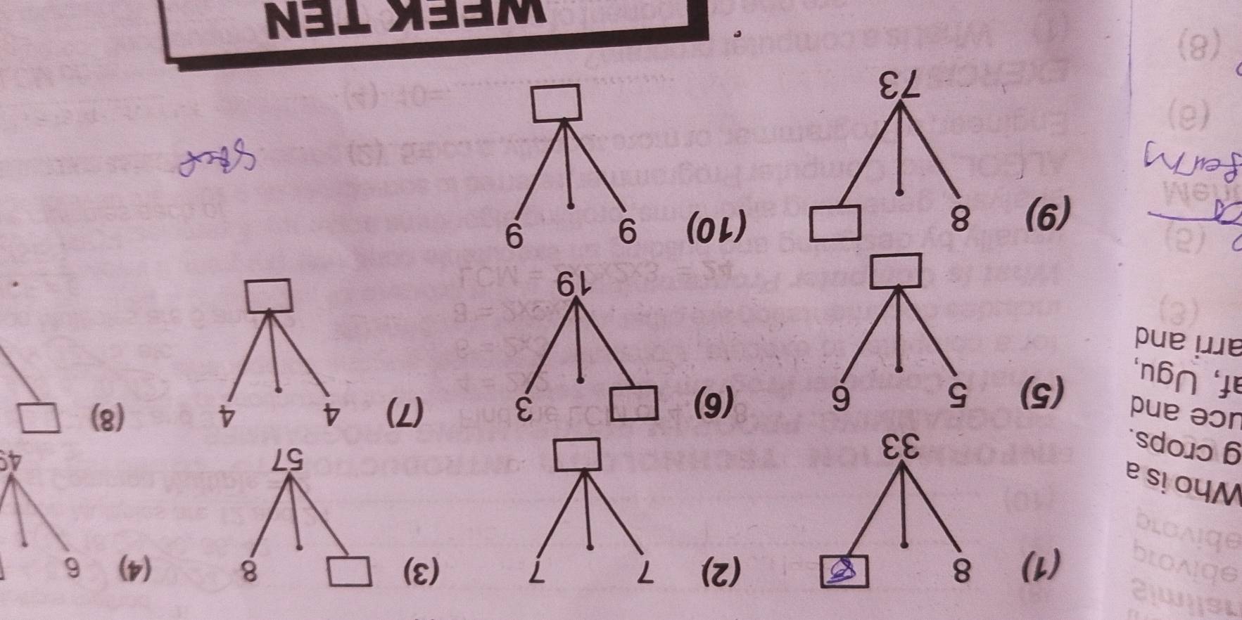 Nel yeem 
EL 
V 
a 
(01)
8 (6)
6l
pue êue 
(9)(s) n6∩ 
(8)(L) εpue əɔr 
sdo1ɔ 6 
e stoyM 
9 (1)(ε)(z) (L)