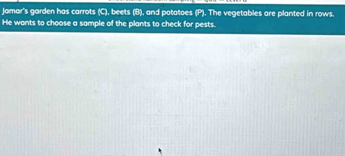 Jamar's garden has carrots (C), beets (B), and potatoes (P). The vegetables are planted in rows. 
He wants to choose a sample of the plants to check for pests.