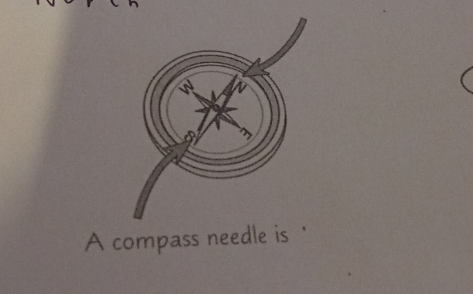 A compass needle is