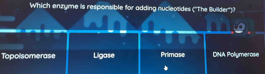 Which enzyme is responsible for adding nucleotides (''The Builder'')?
Topoisomerase Ligase Primase DNA Polymerase