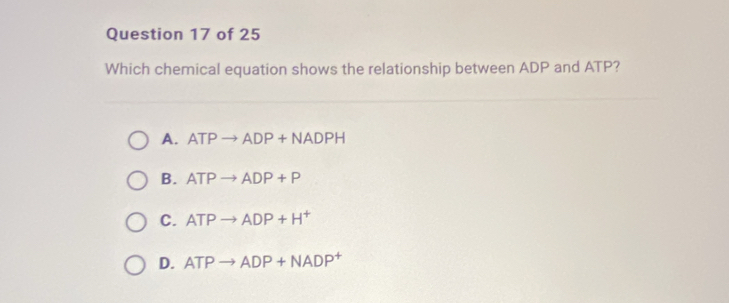 Which chemical equation shows the relationship between ADP and ATP?
A. ATPto ADP+NADPH
B. ATPto ADP+P
C. ATPto ADP+H^+
D. ATPto ADP+NADP^+