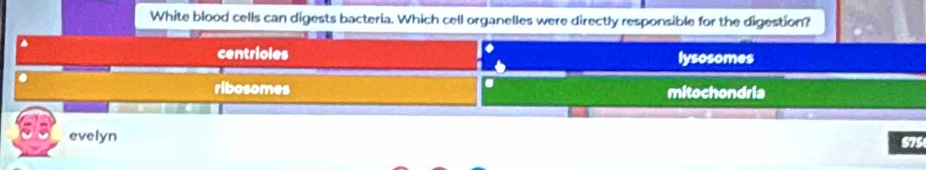 White blood cells can digests bacteria. Which cell organelles were directly responsible for the digestion?
4
centrioles lysosomes
0
ribosomes mitochondria
evelyn 575