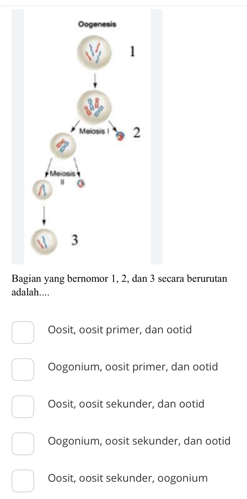 Bsecara berurutan
adalah....
Oosit, oosit primer, dan ootid
Oogonium, oosit primer, dan ootid
Oosit, oosit sekunder, dan ootid
Oogonium, oosit sekunder, dan ootid
Oosit, oosit sekunder, oogonium