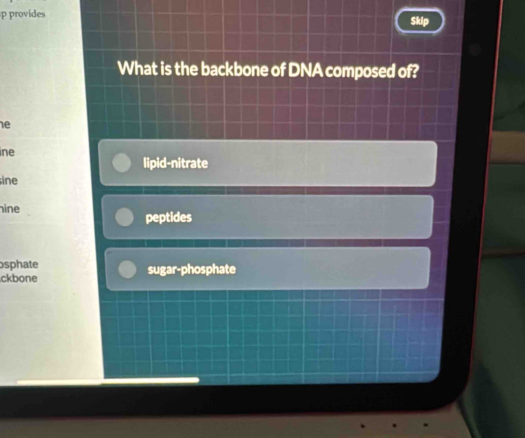 provides
Skip
What is the backbone of DNA composed of?
e
ine
lipid-nitrate
ine
hine
peptides
osphate
sugar-phosphate
ckbone