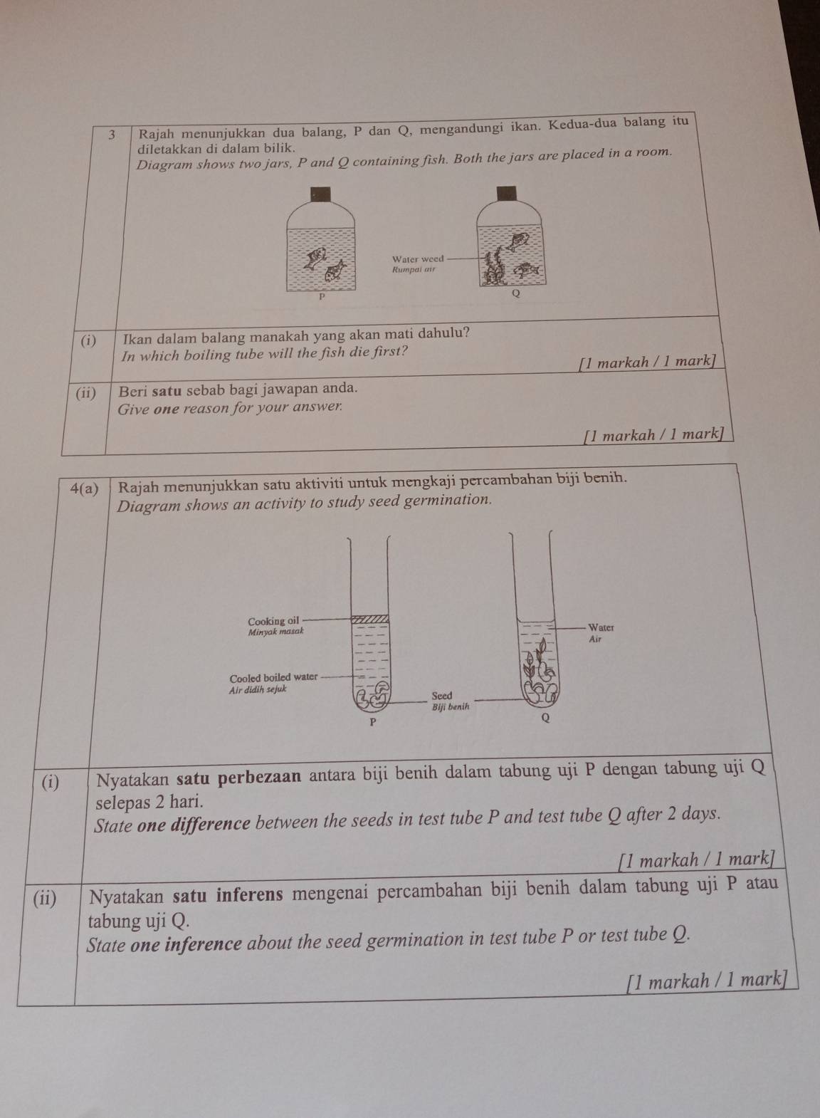 Rajah menunjukkan dua balang, P dan Q, mengandungi ikan. Kedua-dua balang itu 
diletakkan di dalam bilik. 
Diagram shows two jars, P and Q containing fish. Both the jars are placed in a room.
p
(i) Ikan dalam balang manakah yang akan mati dahulu? 
In which boiling tube will the fish die first? 
[1 markah / 1 mark] 
(ii) Beri satu sebab bagi jawapan anda. 
Give one reason for your answer. 
[1 markah / 1 mark] 
4(a) Rajah menunjukkan satu aktiviti untuk mengkaji percambahan biji benih. 
Diagram shows an activity to study seed germination. 
(i) Nyatakan satu perbezaan antara biji benih dalam tabung uji P dengan tabung uji Q
selepas 2 hari. 
State one difference between the seeds in test tube P and test tube Q after 2 days. 
[1 markah / 1 mark] 
(ii) Nyatakan satu inferens mengenai percambahan biji benih dalam tabung uji P atau 
tabung uji Q. 
State one inference about the seed germination in test tube P or test tube Q. 
[1 markah / 1 mark]