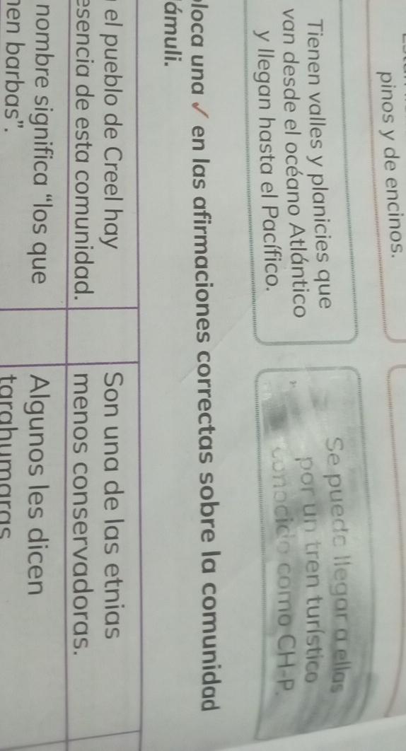 pinos y de encinos. 
Se puedo llegar a ellas 
Tienen valles y planicies que 
van desde el océano Atlántico por un tren turístico
y llegan hasta el Pacífico. conocido como CH-P. 
ploca una √ en las afirmaciones correctas sobre la comunidad 
ámuli. 
e