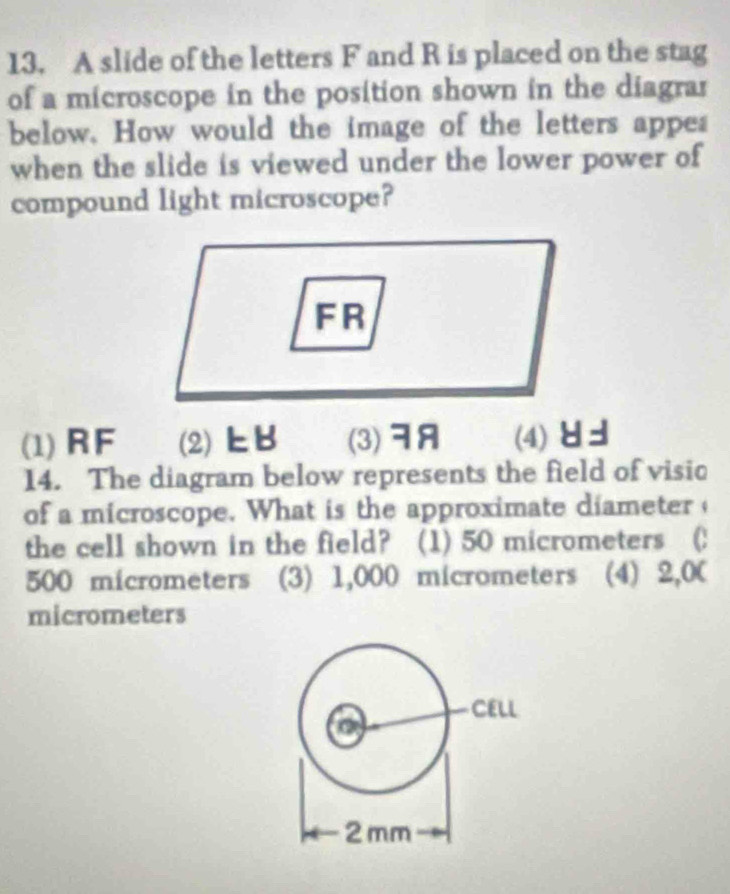 A slide of the letters F and R is placed on the stag
of a microscope in the position shown in the diagrar
below. How would the image of the letters appes
when the slide is viewed under the lower power of
compound light microscope?
(1) RF (2)B (3)A (4)どd
14. The diagram below represents the field of visio
of a microscope. What is the approximate diameter 
the cell shown in the field? (1) 50 micrometers ()
500 micrometers (3) 1,000 micrometers (4) 2,0C
micrometers