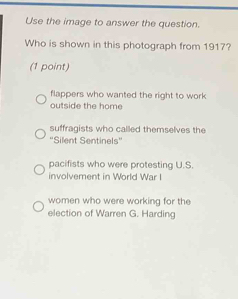 Use the image to answer the question.
Who is shown in this photograph from 1917?
(1 point)
flappers who wanted the right to work 
outside the home
suffragists who called themselves the
''Silent Sentinels''
pacifists who were protesting U.S.
involvement in World War I
women who were working for the
election of Warren G. Harding