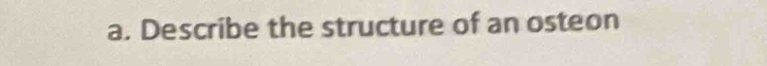 Describe the structure of an osteon