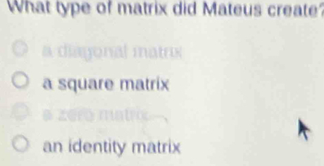 What type of matrix did Mateus create?
mtr
a square matrix
an identity matrix