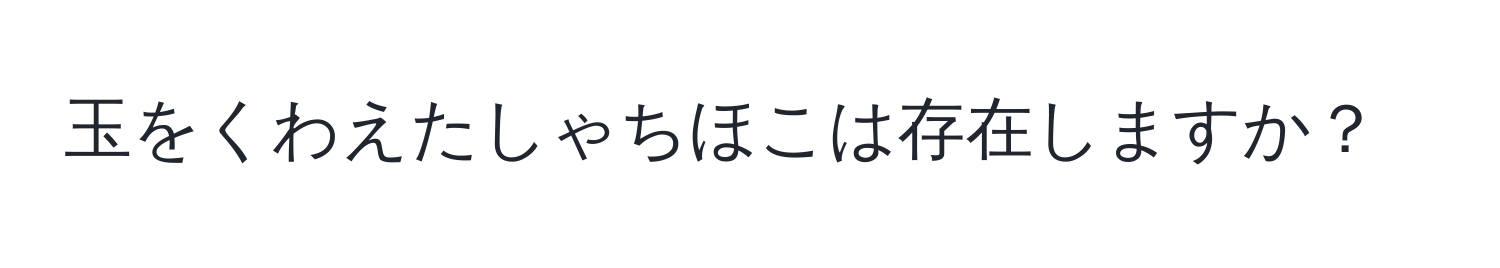 玉をくわえたしゃちほこは存在しますか？