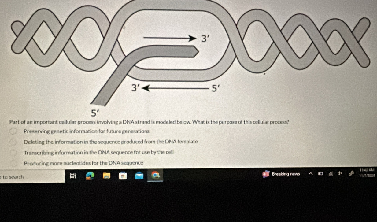 Preserving genetic information for future generations
Deleting the information in the sequence produced from the DNA template
Transcribing information in the DNA sequence for use by the cell
Producing more nucleotides for the DNA sequence
to search Breaking news 1  a
11/7/2