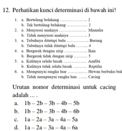 Perhatikan kunci determinasi di bawah ini!
1. a. Bertulang belakang ……….......
b. Tak bertulang belakang
2. a. Menyusai anaknya …………… Mamalia ............... 2
b. Tidak menyusui anaknya …… 3
3. a. Twbuhnya ditutupi buba ……. Burung
b. Tubulaya tidak dätutupi bula . …. ... 4
4. a. Bergerak dengan sarip .… …… . Ikan
5. a. Kulitnya selalu basah b. Bergerak tidak dengan sirip …… 5 … ……………... Amfibi
b. Kulitaya tidak selalu basah …… Reptilia
6. a. Mempanyai rangka luar .......... Hewan berbukoa-buk
b. Tidak mempunyai rangka luar … Cacing
Urutan nomor determinasi untuk cacing
adalah ... .
a. 1b-2b-3b-4b-5b
b. 1b-2b-3b-4b-6b
c. 1a-2a-3a-4a-5a
d. 1a-2a-3a-4a-6a