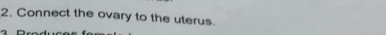 Connect the ovary to the uterus.