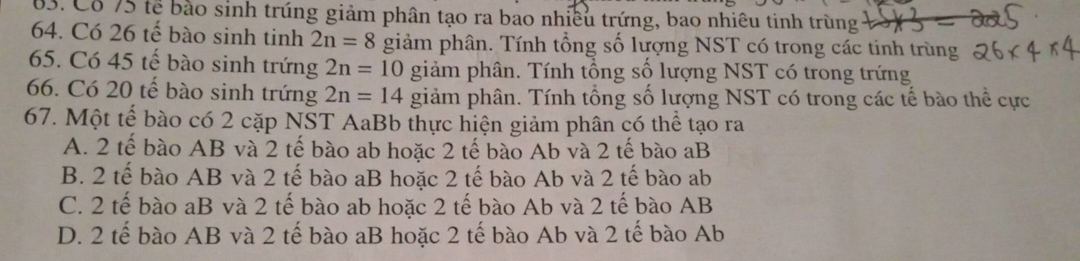 Cổ 75 tế bào sinh trúng giảm phân tạo ra bao nhiều trứng, bao nhiêu tinh trùng
64. Có 26 tế bào sinh tinh 2n=8 giảm phân. Tính tổng số lượng NST có trong các tinh trùng
65. Có 45 tế bào sinh trứng 2n=10 giảm phân. Tính tổng số lượng NST có trong trứng
66. Có 20 tế bào sinh trứng 2n=14 giảm phân. Tính tổng số lượng NST có trong các tế bào thể cực
67. Một tế bào có 2 cặp NST AaBb thực hiện giảm phân có thể tạo ra
A. 2 tế bào AB và 2 tế bào ab hoặc 2 tế bào Ab và 2 tế bào aB
B. 2 tế bào AB và 2 tế bào aB hoặc 2 tế bào Ab và 2 tế bào ab
C. 2 tế bào aB và 2 tế bào ab hoặc 2 tế bào Ab và 2 tế bào AB
D. 2 tế bào AB và 2 tế bào aB hoặc 2 tế bào Ab và 2 tế bào Ab