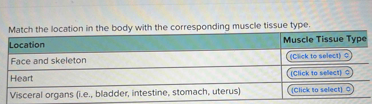 ody with the corresponding muscle tissue type.