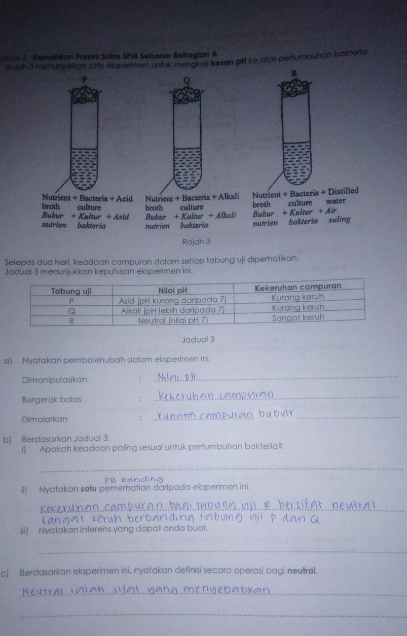 emalkran Proses Sains SPM Sebenar Bahagian A
Rojah 3 menunjukkan satu eksperimen untuk mengkaji kesan pH ke atas pertumbuhan baktora.
R
P
Q
Nutrient + Bacteria + Acid Nutrient + Bacteria + Alkali Nutrient + Bacteria + Distilled
broth culture broth culture broth culture water
Bubur + Kultur + Asid Bubur + Kultur + Alkali Bubur + Kultur + Air
nutrien bakteria nutrien bakteria nutrien bakteria suling
Rajah 3
Selepas dua hari, keadaan campuran dalam setiap tabung uji diperhatikan.
Jadual 3 menunjukkan keputusan eksperimen ini.
Jadual 3
a) Nyatakan pembolehubah dalam eksperimen ini.
Dimanipulasikan :
_
Bergerak balas :
_
Dimalarkan
_
_
b) Berdasarkan Jadual 3,
i) Apakah keadaan paling sesuai untuk pertumbuhan bakteria?
_
PB banding
ii) Nyatakan satu pemerhatian daripada eksperimen ini.
_
_
iii) Nyatakan inferens yang dapat anda buat.
_
c) Berdasarkan eksperimen ini, nyatakan definisi secara operasi bagi neutral.
_
_