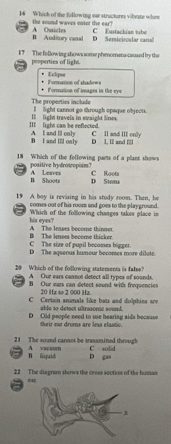 Which of the following ear structures vibrate when
the sound waves enter the ear?
A Ossicles C Eustachian tube
B Auditory canal D Semicircular canal
17 The following shows some phenomena caused by the
properties of light.
Eclipse
Formation of shadows
Formation of images in the eye
The properties include
I light cannot go through opaque objects.
II light travels in straight lines.
III light can be reflected.
A l and II only C II and III only
B I and III only D I, II and III
18 Which of the following parts of a plant shows
positive hydrotropism?
A Leaves C Roots
B Shoots D Stems
19 A boy is revising in his study room. Then, he
comes out of his room and goes to the playground.
a Which of the following changes takes place in
his eyes?
A The lenses become thinner.
B The lenses become thicker.
C The size of pupil becomes bigger.
D The aqueous humour becomes more dílute.
20 Which of the following statements is false?
A Our ears cannot detect all types of sounds.
B Our ears can detect sound with frequencies
20 Hz to 2 000 Hz
C Certain animals like bats and dolphins are
able to detect ultrasonic sound.
D Old people need to use hearing aids because
their ear drums are less elastic.
21 The sound cannot be transmitted through
A vacuum C solid
B liquid D gas
22 The diagram shows the cross section of the human
ear