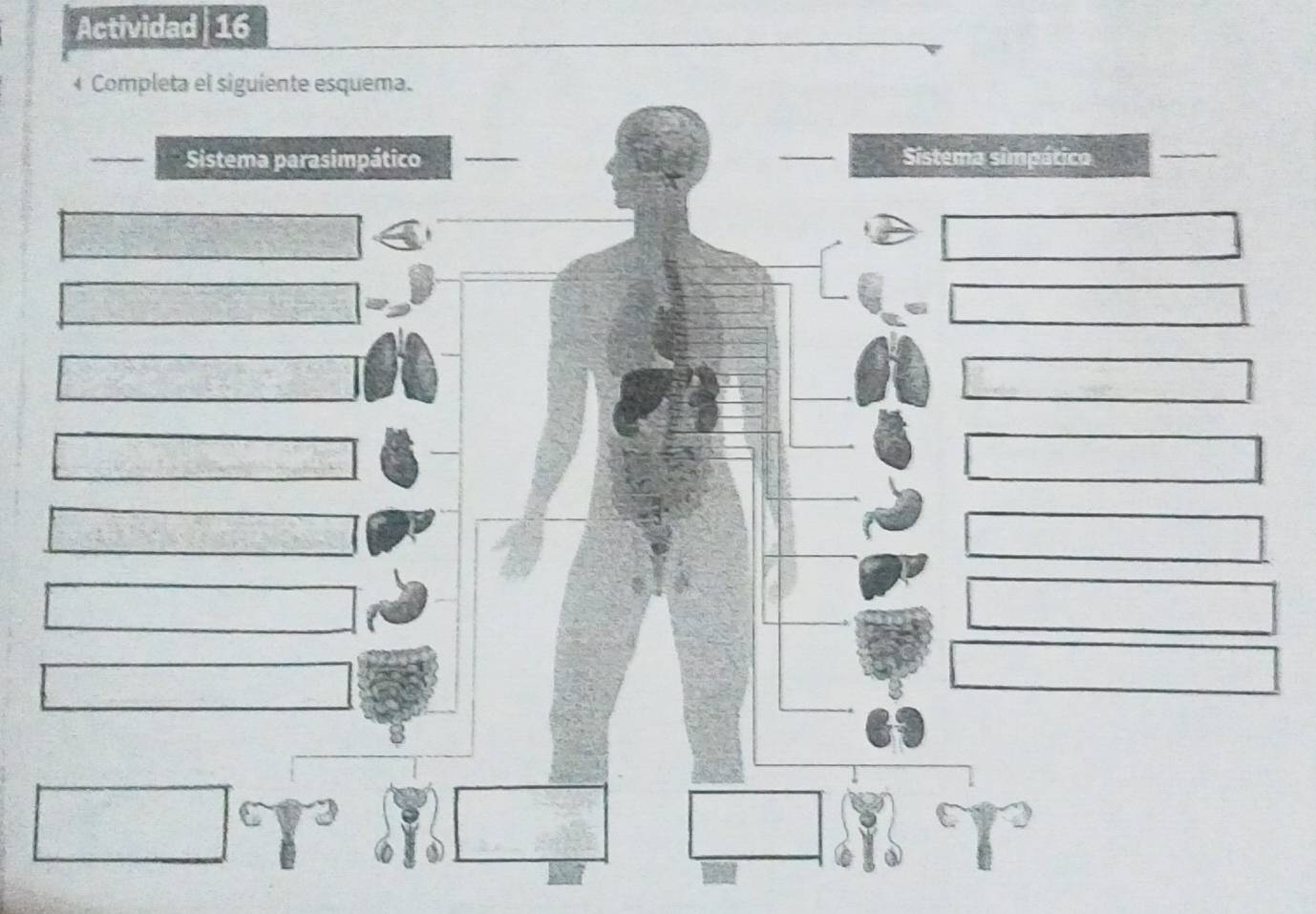 Actividad 16 
_