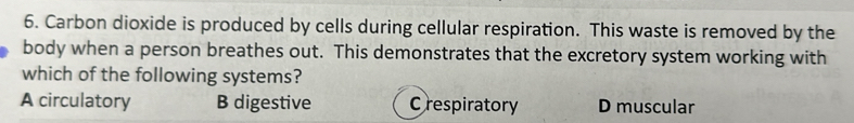 Carbon dioxide is produced by cells during cellular respiration. This waste is removed by the
body when a person breathes out. This demonstrates that the excretory system working with
which of the following systems?
A circulatory B digestive Crespiratory D muscular