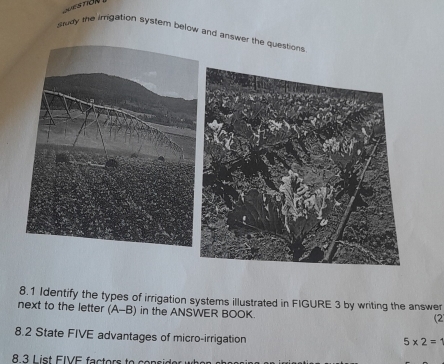 study the imrigation system below and answer 
8.1 Identify the types of irrigation systems illustrated in FIGURE 3 by writing the answer 
next to the letter (A-B) in the ANSWER BOOK 
(2 
8.2 State FIVE advantages of micro-irrigation
5* 2=1
8.3 List FIVE factors to con