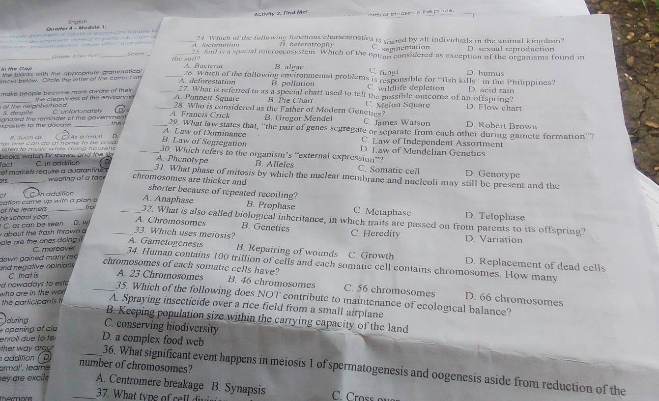 ards or phrases in the puzzie.
Activity 2: Find Mel
English
Quarter 4 - Module 1 :
ra p  ra te grammatical signals or e sressions soltab le to
e s  deve opment  general to partícular. caim ot _24. Which of the following functions/characteristics is shared by all individuals in the animal kingdom?
é ciaim proplem solution cause ef fect and amen A. locomotion B. heterotrophy C. segmentation D. sexual reproduction
25. Soil is a special microccosystem. Which of the option considered as exception of the organisms found in
_Grade SSection Score the soil?
In the Gap
A. Bacteria B. algae C. fungi D. humus
the blanks with the appropriate grammatical
26. Which of the following environmental problems is responsible for “fish kills” in the Philippines?
ences below. Circle the letter of the correct an _A. deforestation B. pollution D. acid rain
C. wildlife depletion
_make people become more aware of their 27. What is referred to as a special chart used to tell the possible outcome of an offspring?
the cleanliness of the environme A. Punnett Square B. Pie Chart C. Melon Square D. Flow chart
of the neighborhood.
28. Who is considered as the Father of Modern Genetics?
B. despite C. unfortunately
A. Francis Crick B. Gregor Mendel C. James Watson D. Robert Brown
o ue to the  dise a s 
ignored the reminder of the government the _29. What law states that, “the pair of genes segregate or separate from each other during gamete formation”?
B. Such as ( C)As a result 。
A. Law of Dominance C. Law of Independent Assortment
a    n e  c an do at home to b e prod
B. Law of Segregation D. Law of Mendelian Genetics
listen to music while doing househ  . _30. Which refers to the organism’s “external expression”?
books, watch TV shows, and the lik
fact C. In addition D
A. Phenotype B. Alleles C. Somatic cell D. Genotype
ret markets require a quarantine  _31. What phase of mitosis by which the nuclear membrane and nucleoli may still be present and the
rs wearing of a fac chromosomes are thicker and
shorter because of repeated recoiling?
CIn addition
cation came up with a plan a A. Anaphase
B. Prophase C. Metaphase D. Telophase
his school year.
of the learners_ fro __32. What is also called biological inheritance, in which traits are passed on from parents to its offspring?
C. as can be seen D. w
A. Chromosomes B. Genetics
about the trash thrown 33. Which uses meiosis?
C. Heredity D. Variation
ple are the ones doing it A. Gametogenesis
C. moreover
B. Repairing of wounds C. Growth D. Replacement of dead cells
down gained many re 
_34. Human contains 100 trillion of cells and each somatic cell contains chromosomes. How many
and negative opinions
chromosomes of each somatic cells have?
C. that is
A. 23 Chromosomes B. 46 chromosomes C. 56 chromosomes D. 66 chromosomes
who are in the wor
d nowadays to est _35. Which of the following does NOT contribute to maintenance of ecological balance?
the participants t A. Spraying insecticide over a rice field from a small airplane
B. Keeping population size within the carrying capacity of the land
during
opening of cla
C. conserving biodiversity
enroll due to f D. a complex food web
addition ( D)
ormal', learne
number of chromosomes?
ther way arour __36. What significant event happens in meiosis 1 of spermatogenesis and oogenesis aside from reduction of the
ey are excite A. Centromere breakage B. Synapsis
thermore
37. What type of cell