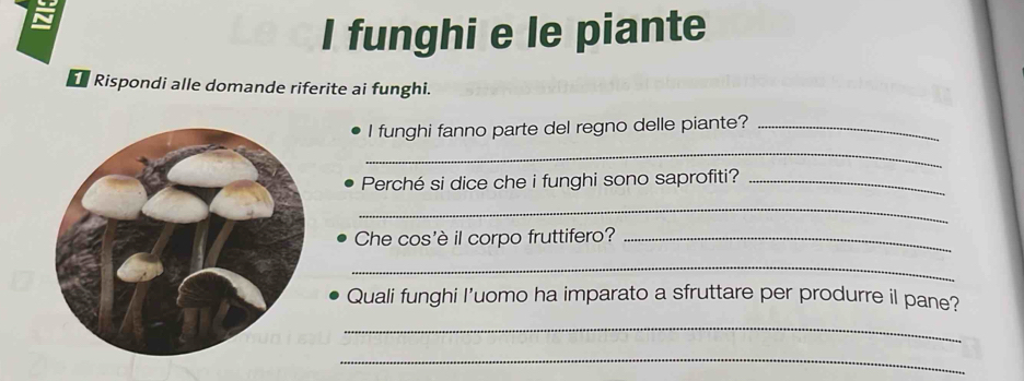 funghi e le piante 
1 Rispondi alle domande riferite ai funghi. 
I funghi fanno parte del regno delle piante?_ 
_ 
Perché si dice che i funghi sono saprofiti?_ 
_ 
Che cos'è il corpo fruttifero?_ 
_ 
Quali funghi I'uomo ha imparato a sfruttare per produrre il pane? 
_ 
_