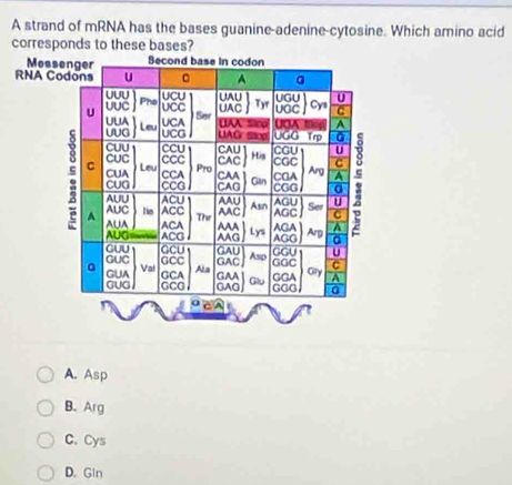 A strand of mRNA has the bases guanine-adenine-cytosine. Which amino acid
corresponds to these bases?
A. Asp
B. Arg
C. Cys
D. GIn