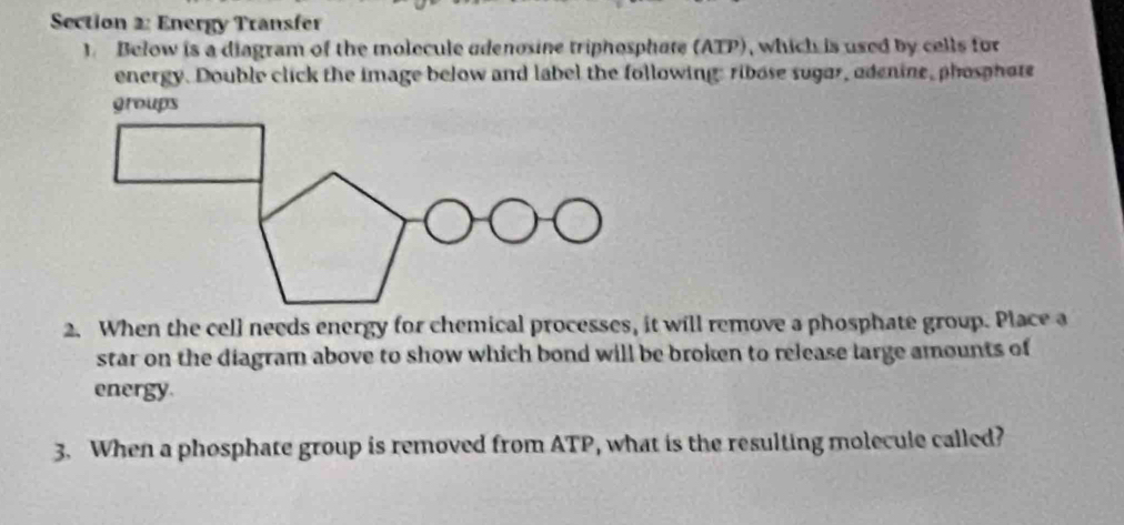 Energy Transfer 
). Below is a diagram of the molecule adenosine triphosphate (ATP), which is used by cells for 
energy. Double click the image below and label the following: ribose sugar, adenine, phosphote 
groups 
2. When the cell needs energy for chemical processes, it will remove a phosphate group. Place a 
star on the diagram above to show which bond will be broken to release large amounts of 
energy. 
3. When a phosphate group is removed from ATP, what is the resulting molecule called?