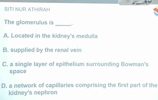 SITI NUR ATHIRAH
The glomerulus is _.
A. Located in the kidney's medulla
B. supplied by the renal vein
C. a single layer of epithelium surrounding Bowman's
space
D. a network of capillaries comprising the first part of the
kidney's nephron