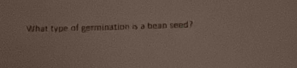 What type of germination is a bean seed?