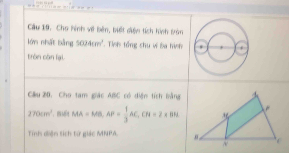 Cho hình về bên, biết diện tích hình tròn 
lớn nhất bằng 5024cm^2 Tính tổng chu ví ba hình 
tròn còn lại. 
Câu 20. Chơ tam giác ABC có diện tích bằng
270cm^3. Biết MA=MB, AF= 1/3 AC, CN=2* BN. 
Tính diện tích tứ giác MNPA.