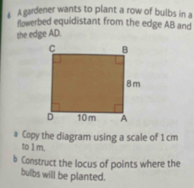 § A gardener wants to plant a row of bulbs in a 
flowerbed equidistant from the edge AB and 
the edge AD. 
a Copy the diagram using a scale of 1 cm
to 1 m. 
b Construct the locus of points where the 
bulbs will be planted.