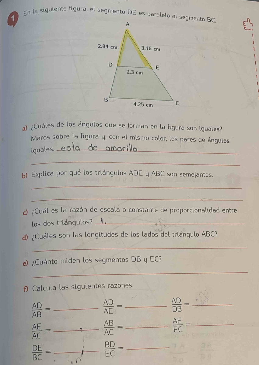 En la siguiente figura, el segmento DE es paralelo al segmento BC. 
a) ¿Cuáles de los ángulos que se forman en la figura son iguales? 
Marca sobre la figura y, con el mismo color, los pares de ángulos 
iguales._ 
_ 
b) Explica por qué los triángulos ADE y ABC son semejantes. 
_ 
_ 
c) ¿Cuál es la razón de escala o constante de proporcionalidad entre 
los dos triángulos?_ 
d) ¿Cuáles son las longitudes de los lados del triángulo ABC? 
_ 
e) ¿Cuánto miden los segmentos DB y EC? 
_ 
f) Calcula las siguientes razones. 
_  AD/AB =
 AD/AE = _
 AD/DB = _
 AE/AC = _
 AB/AC = _ 
_  AE/EC =
 DE/BC = _
 BD/EC = _