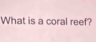 What is a coral reef?