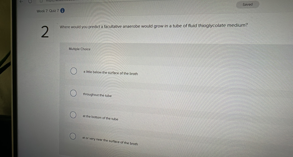 Saved
Week 7: Quiz 7
2 Where would you predict a facultative anaerobe would grow in a tube of fluid thioglycolate medium?
Multiple Choice
a little below the surface of the broth
throughout the tube
at the bottom of the tube
at or very near the surface of the broth