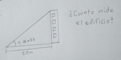 Cuanto mide
eledificio?