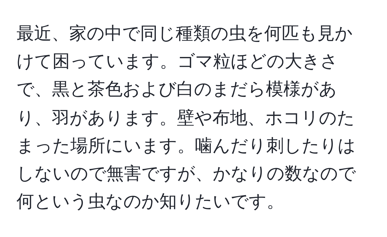 最近、家の中で同じ種類の虫を何匹も見かけて困っています。ゴマ粒ほどの大きさで、黒と茶色および白のまだら模様があり、羽があります。壁や布地、ホコリのたまった場所にいます。噛んだり刺したりはしないので無害ですが、かなりの数なので何という虫なのか知りたいです。