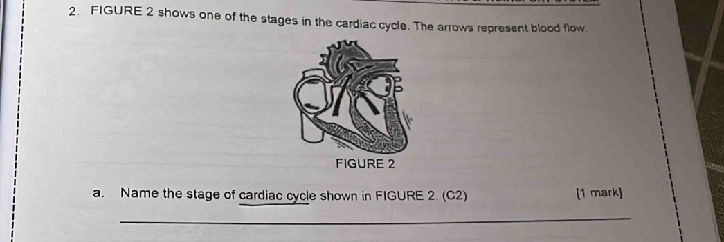 FIGURE 2 shows one of the stages in the cardiac cycle. The arrows represent blood flow. 
a. Name the stage of cardiac cycle shown in FIGURE 2. (C2) [1 mark] 
_