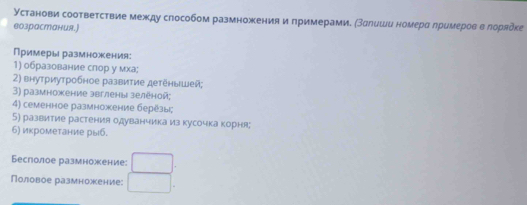 Установи сооτвеτсτвие между слособом размножения и πримерами. (залеши номерα лремерοве лоряδке 
возрастания.) 
Примеры размножения: 
1) образование слор у мха; 
2) внутриутробное развитие детёнышей; 
3) размножение эвглены зеленой; 
4) семенное размножение берёзыς 
5) развитие растения одуванчика из кусочка корня; 
6) икрометание рыб. 
Беслолое размножение: 
Половое размножение: