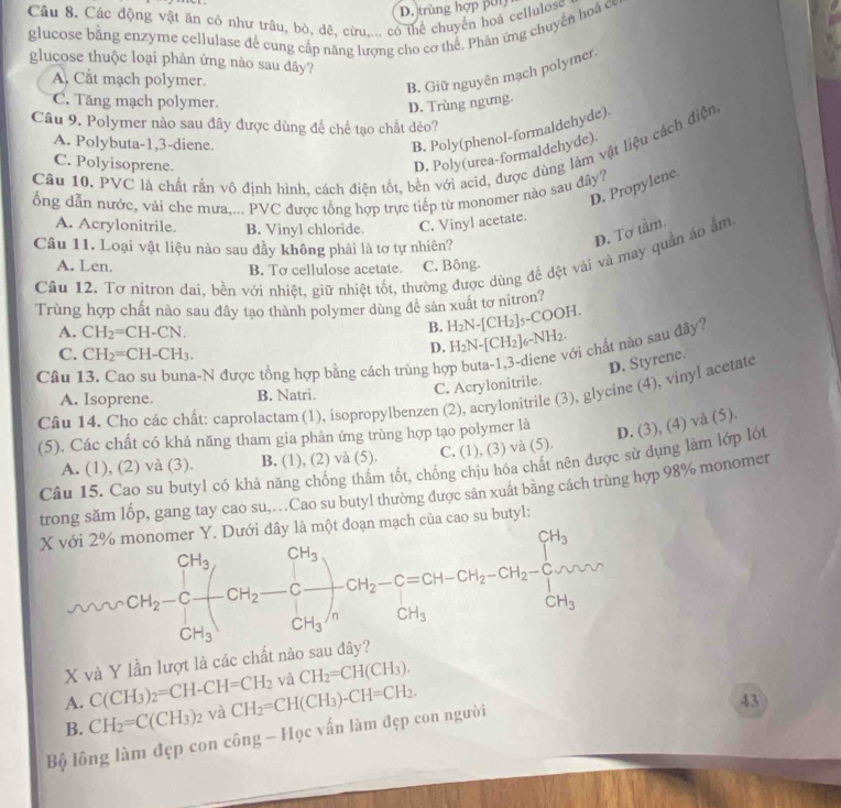 D. trùng hợp pu
Câu 8. Các động vật ăn cỏ như trâu, bò, dê, cừu,... có thể chuyển hoá cellulose
glucose bằng enzyme cellulase đề cung cấp năng lượng cho cơ thể. Phản ứng chuyển hoá ce
glucose thuộc loại phản ứng nào sau đây?
A. Cắt mạch polymer.
B. Giữ nguyên mạch polymer.
C. Tăng mạch polymer.
D. Trùng ngưng.
Câu 9. Polymer nào sau đây được dùng để chế tạo chất dẻo?
A. Polybuta-1,3-diene
B. Poly(phenol-formaldehyde).
D. Poly(urea-formaldehyde)
Câu 10. PVC là chất rắn vô định hình, cách điện tốt, bền với acid, được dùng làm vật liệu cách điện,
C. Polyisoprene.
D. Propylene
ổng dẫn nước, vải che mưa,... PVC được tổng hợp trực tiếp từ monomer nào sau đãy?
A. Acrylonitrile. B. Vinyl chloride. C. Vinyl acetate.
Câu 11. Loại vật liệu nào sau đầy không phải là tơ tự nhiên?
D. Tơ tầm.
Cầu 12. Tơ nitron đai, bền với nhiệt, giữ nhiệt tốt, thường được dùng để đệt vài và may quần áo âm
A. Len. B. To cellulose acetate. C. Bông
Trùng hợp chất nào sau đây tạo thành polymer dùng đề sản xuất tơ nitron?
B. H_2N-[CH_2]_5-COOH.
A. CH_2=CH-CN. H_2N-[CH_2]_6-NH_2. ới chất nào sau đây?
C. CH_2=CH-CH_3.
D.
Câu 13. Cao su buna-N được tồng hợp bằng cách trùng họ
D. Styrene.
C. Acrylonitrile.
Câu 14. Cho các chất: caprolactam (1), isopropylbenzen (2), acrylonitrile (3), glycine (4), vinyl acetate
A. Isoprene. B. Natri.
(5). Các chất có khả năng tham gia phản ứng trùng hợp tạo polymer là
D. (3), (4) và (5).
A. (1), (2) và (3). B. (1), (2) và (5). C. (1), (3) và (5).
Câu 15. Cao su butyl có khả năng chống thấm tốt, chống chịu hóa chất nên được sử dụng làm lớp lốt
trong săm lốp, gang tay cao su,…Cao su butyl thường được sản xuát băng cách trùng hợp 98% monomer
ây là một đoạn mạch của cao su butyl:
CH_2=frac CH_3CH_3(CH_2-C)-CH_2-C=CH_3-CH_2-CH_2-CH_2-CH_3CCH_3
X và Y lần lượt là các chất nào
A. C(CH_3)_2=CH-CH=CH_2 và CH_2=CH(CH_3).
B. CH_2=C(CH_3)_2 và CH_2=CH(CH_3)-CH=CH_2.
43
Bộ lông làm đẹp con công - Học vấn làm đẹp con người