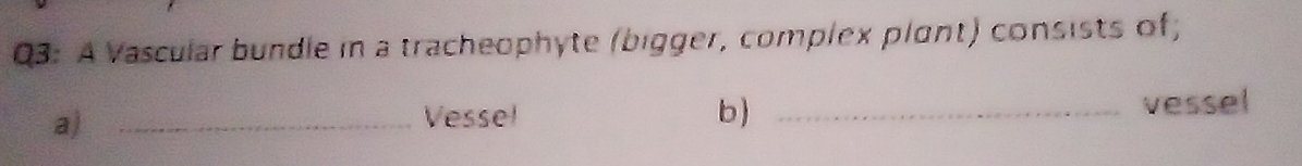 A Vascular bundle in a tracheophyte (bigger, complex plant) consists of; 
a)_ 
Vessel b) _vessel
