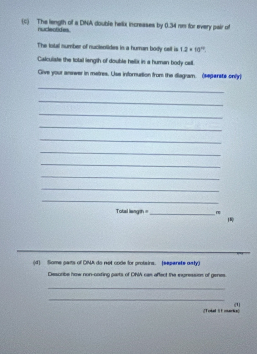 The length of a DNA double helix increases by 0.34 nm for every pair of 
nucleotides. 
The total number of nucleotides in a human body cell is 1.2* 10^(10), 
Calcuiate the total length of double helix in a human body cell. 
Give your answer in metres. Use information from the diagram. (separate only) 
_ 
_ 
_ 
_ 
_ 
_ 
_ 
_ 
_ 
_ 
Total length =_ m 
(5) 
_ 
(d) Some parts of DNA do not code for proteins. (separate only) 
Describe how non-coding parts of DNA can affect the expression of genes. 
_ 
_ 
(1) 
(Total 11 marka)