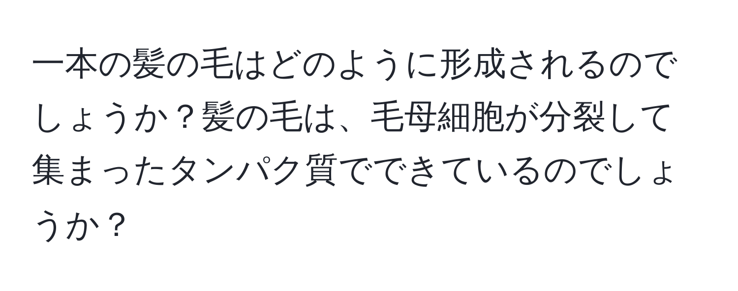 一本の髪の毛はどのように形成されるのでしょうか？髪の毛は、毛母細胞が分裂して集まったタンパク質でできているのでしょうか？