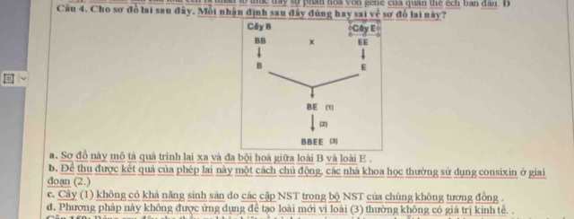 ự c ty sự pran hoa vo n ge ne của quan the éch b an đầu . D 
Cầu 4. Cho sơ đồ lai sau đây. Mỗi nhận định sau đây đúng hay sai về sơ đồ lai này?
a. Sơ đồ này mô tả quả trình lai xa và đa bội hoá giữa loài B và loài E .
b. Để thu được kết quả của phép lai này một cách chủ động, các nhà khoa học thường sử dụng consixin ở giai
doan (2.)
c. Cây (1) không có khả năng sinh sản do các cặp NST trong bộ NST của chúng không tương đồng .
d. Phương pháp này không được ứng dụng để tạo loài mới vì loài (3) thường không có giá trị kinh tế. .