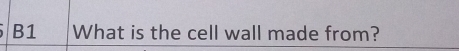 B1 What is the cell wall made from?